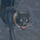 Användarvisningsbild